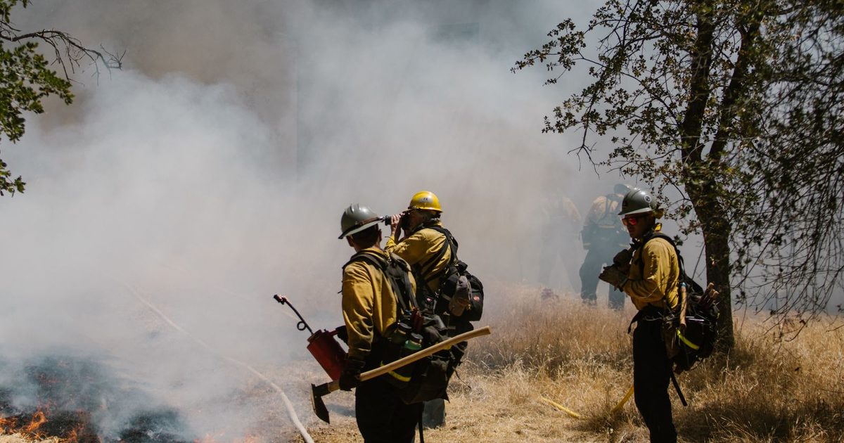 Les incendies géants de l'été 2026 : ce que chaque famille doit apprendre pour se préparer — Général, guide de survie Survival Zone