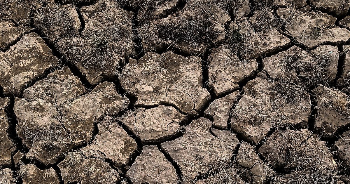 Sécheresse 2026 : comment stocker et gérer son eau ? — Eau, guide de survie Survival Zone