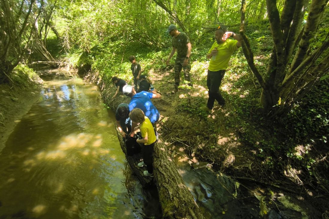 Atelier de filtration de l'eau au bord d'un ruisseau