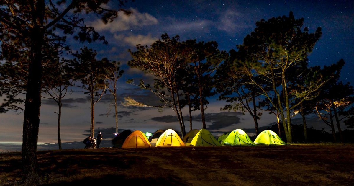 Campement de tentes éclairées sous un ciel étoilé, entre les pins, lors d'un week-end nature